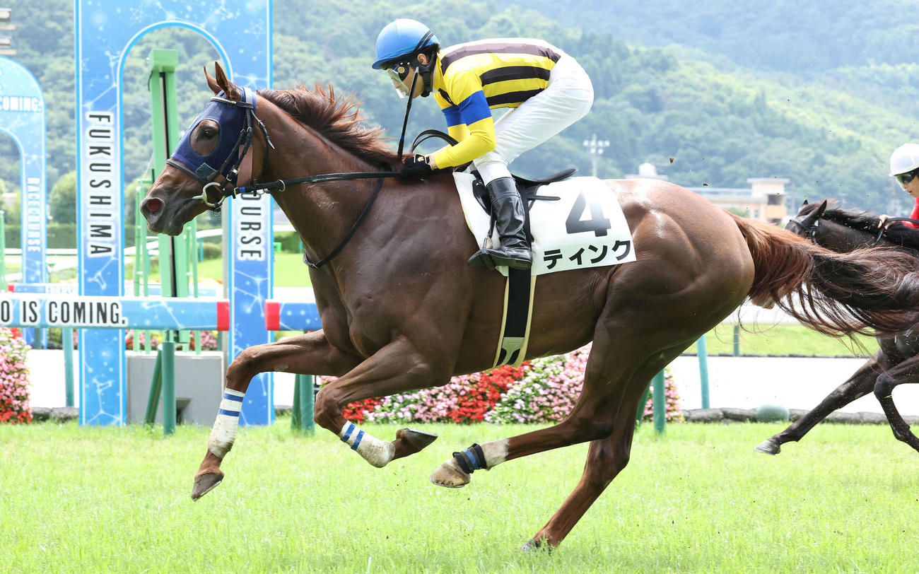 福島2R、2歳未勝利戦を制したティンクと大野騎手（撮影・丹羽敏通）