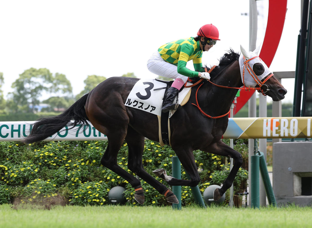 中京5R新馬戦を快勝したルクスノアと永島騎手（撮影・白石智彦）
