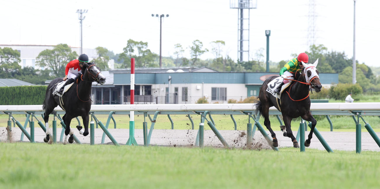 中京5R新馬戦を快勝したルクスノアと永島騎手（右）（撮影・白石智彦）