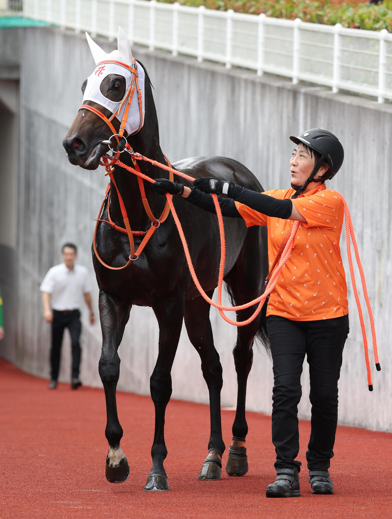 中京5R新馬戦を快勝したルクスノア（撮影・白石智彦）