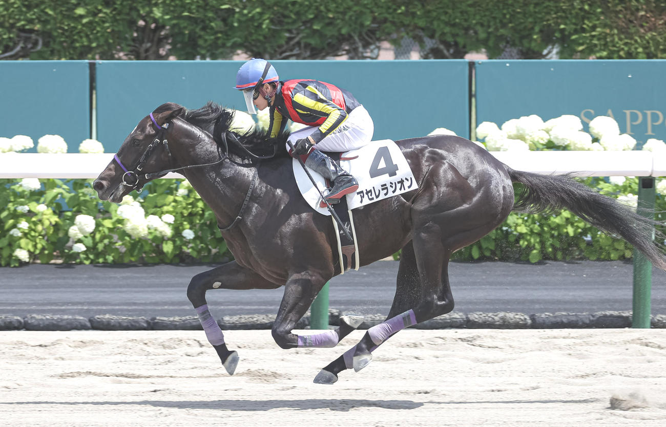 札幌5R、デビュー戦を制したアセレラシオンと鮫島駿騎手（撮影・村野早祐）