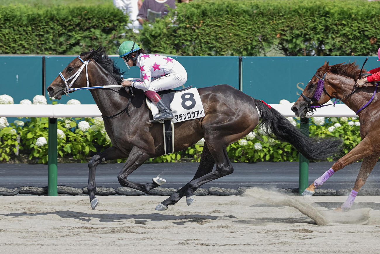 札幌8R、1勝クラスを制したマテンロウアイと今村騎手（撮影・村野早祐）