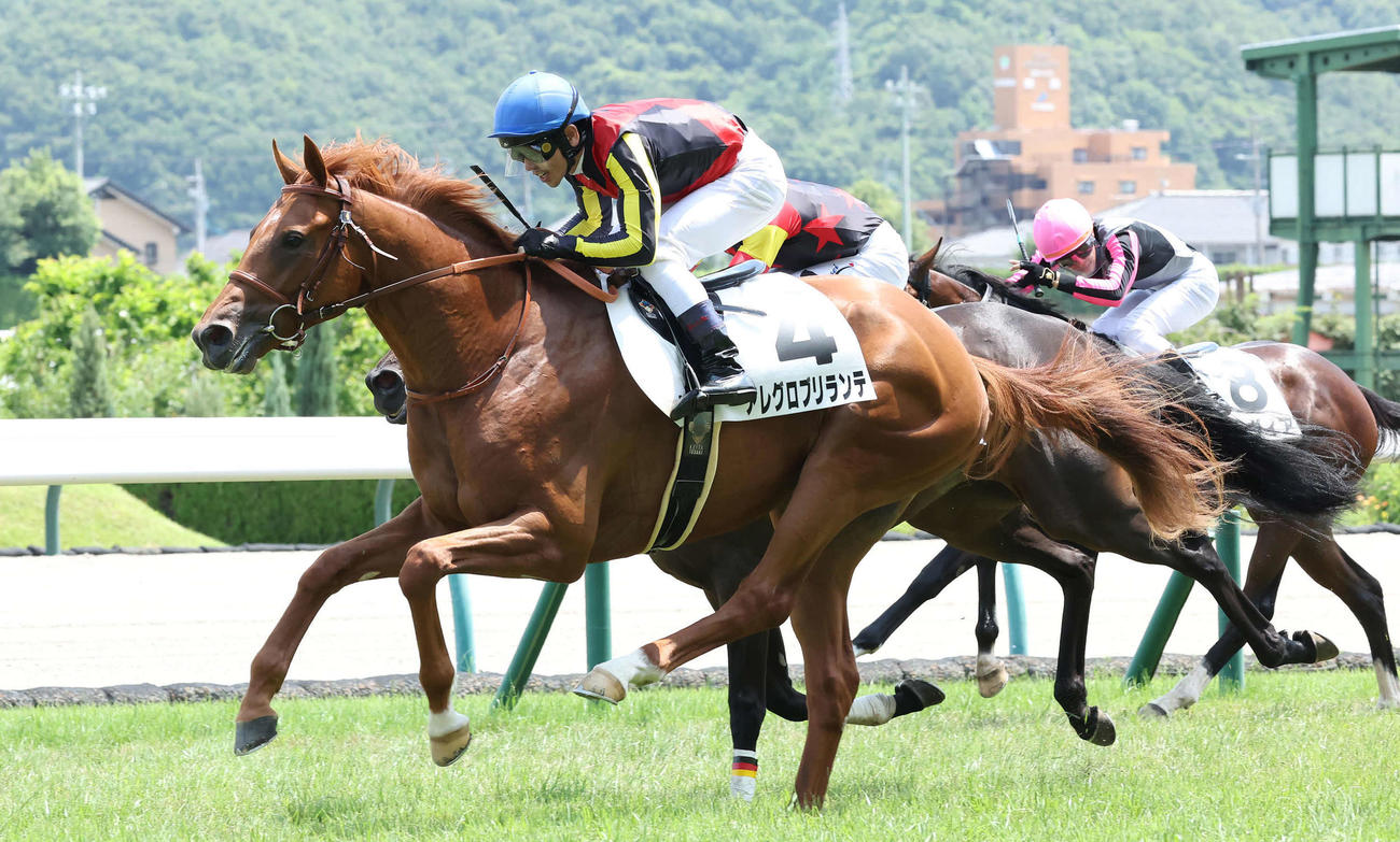 デビュー戦を快勝したアレグロブリランテと戸崎騎手（撮影・丹羽敏通）