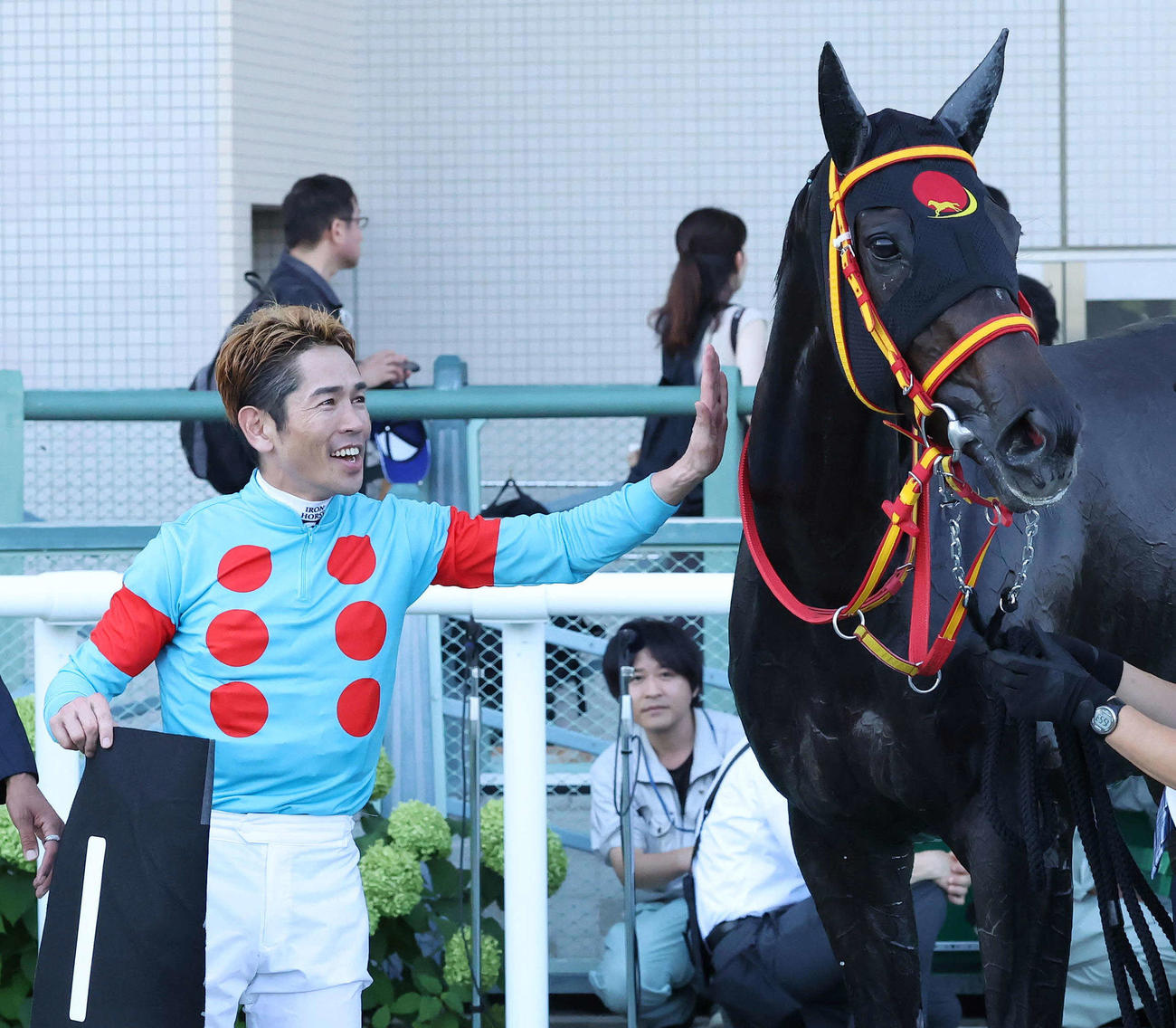 TUF杯を制したキャリックアリードをねぎらう戸崎圭太騎手（撮影・丹羽敏通）
