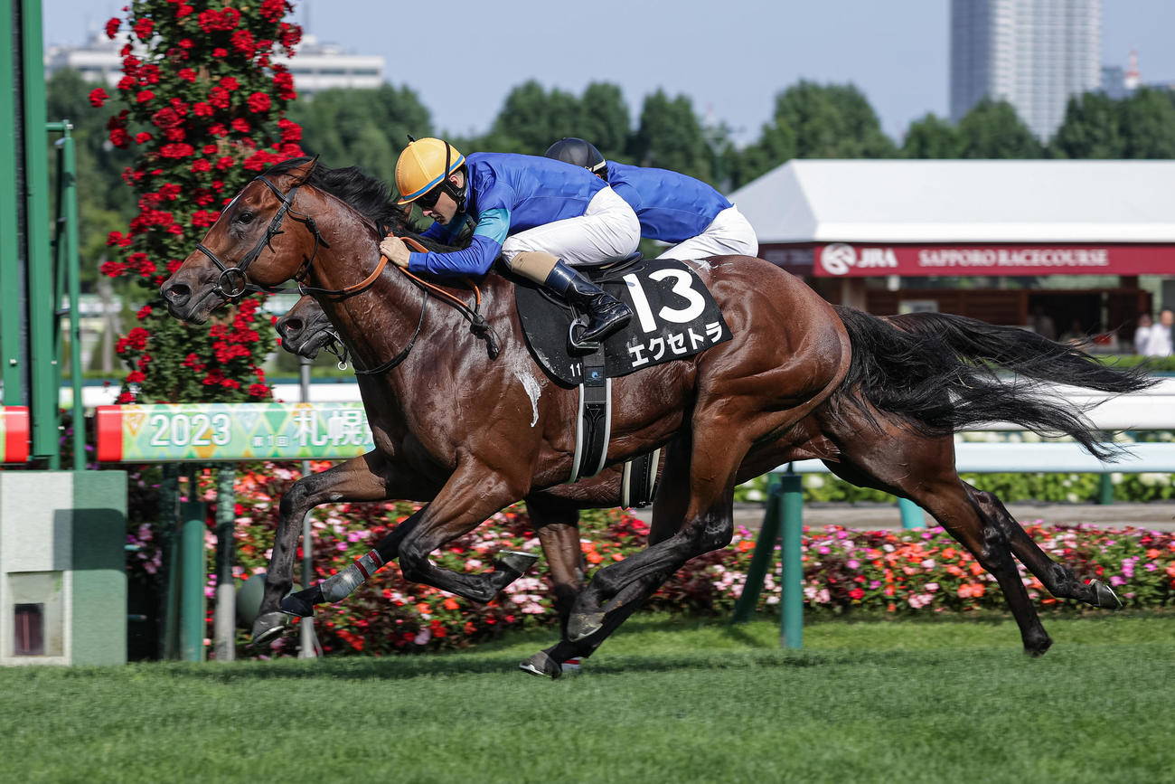 エクセトラ切れ味抜群の末脚で4連勝オープン入り「ポテンシャル高い