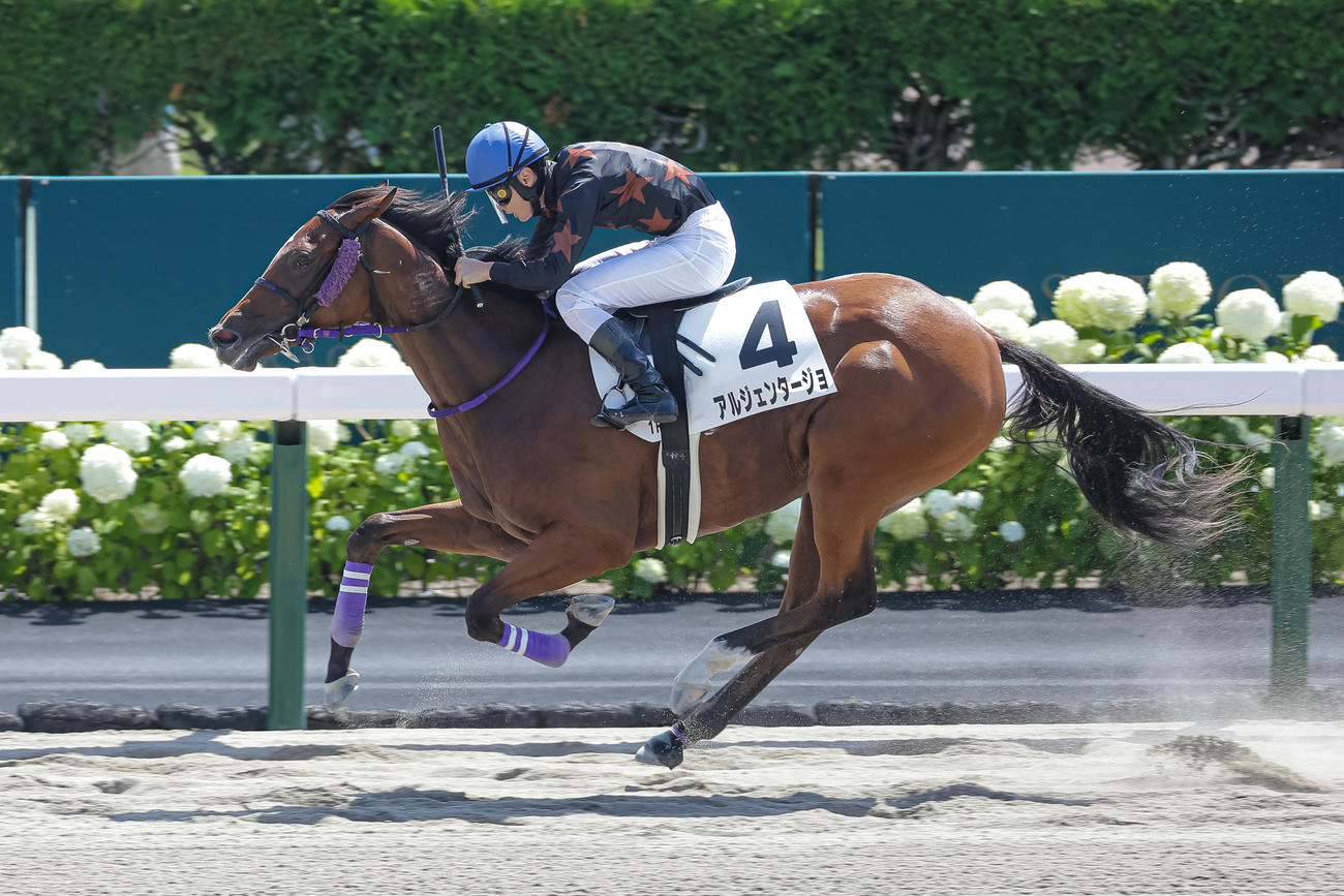 札幌1R、2歳未勝利を制したアルジェンタージョと小林凌騎手（撮影・村野早祐）