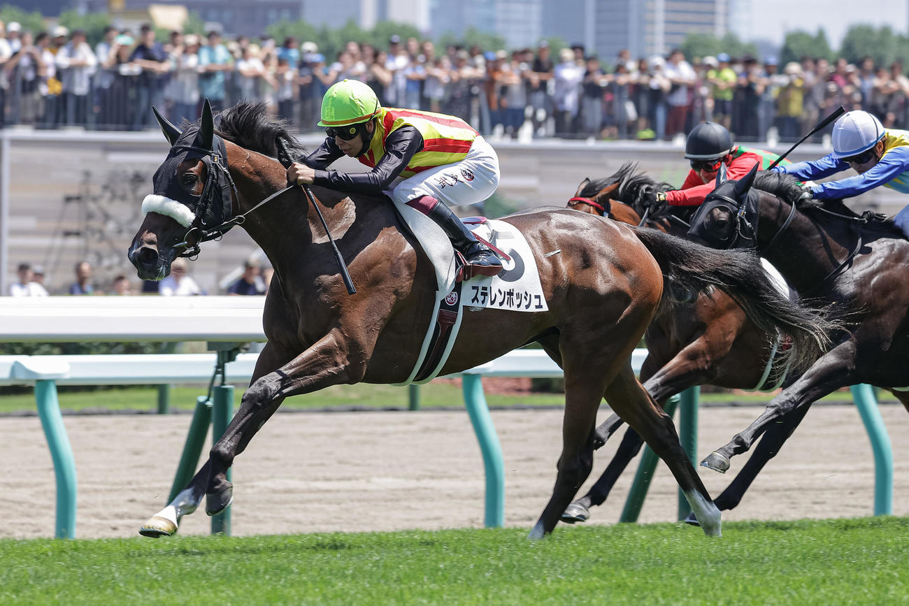 札幌5R、デビュー戦を制したステレンボッシュと横山武騎手（撮影・村野早祐）