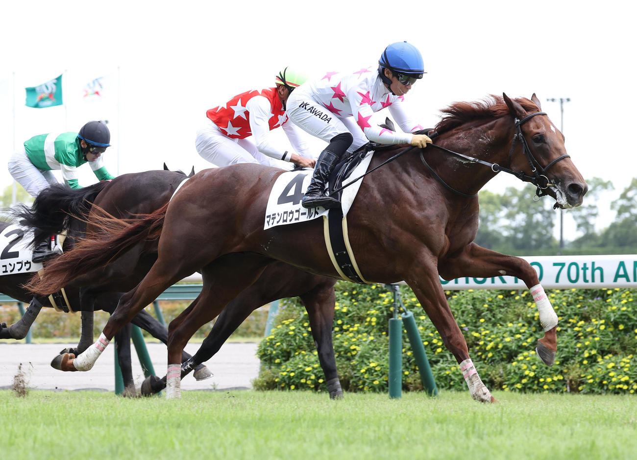 中京5R新馬戦、直線で抜け出したマテンロウゴールド（撮影・白石智彦）