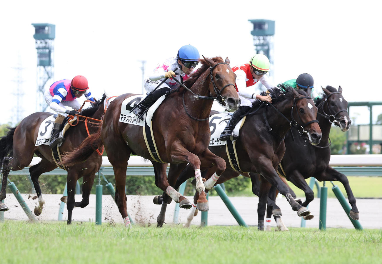 中京5R新馬戦、直線で抜け出したマテンロウゴールド（中央）（撮影・白石智彦）