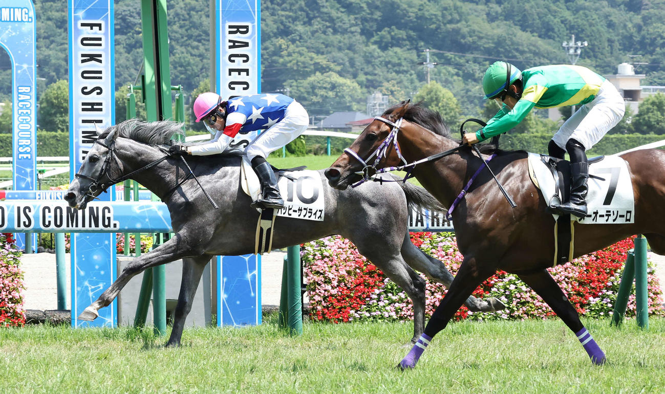 福島6R、デビュー戦を制したハッピーサプライズ（左）と、2着メーオーテソーロ（右）（撮影・丹羽敏通）