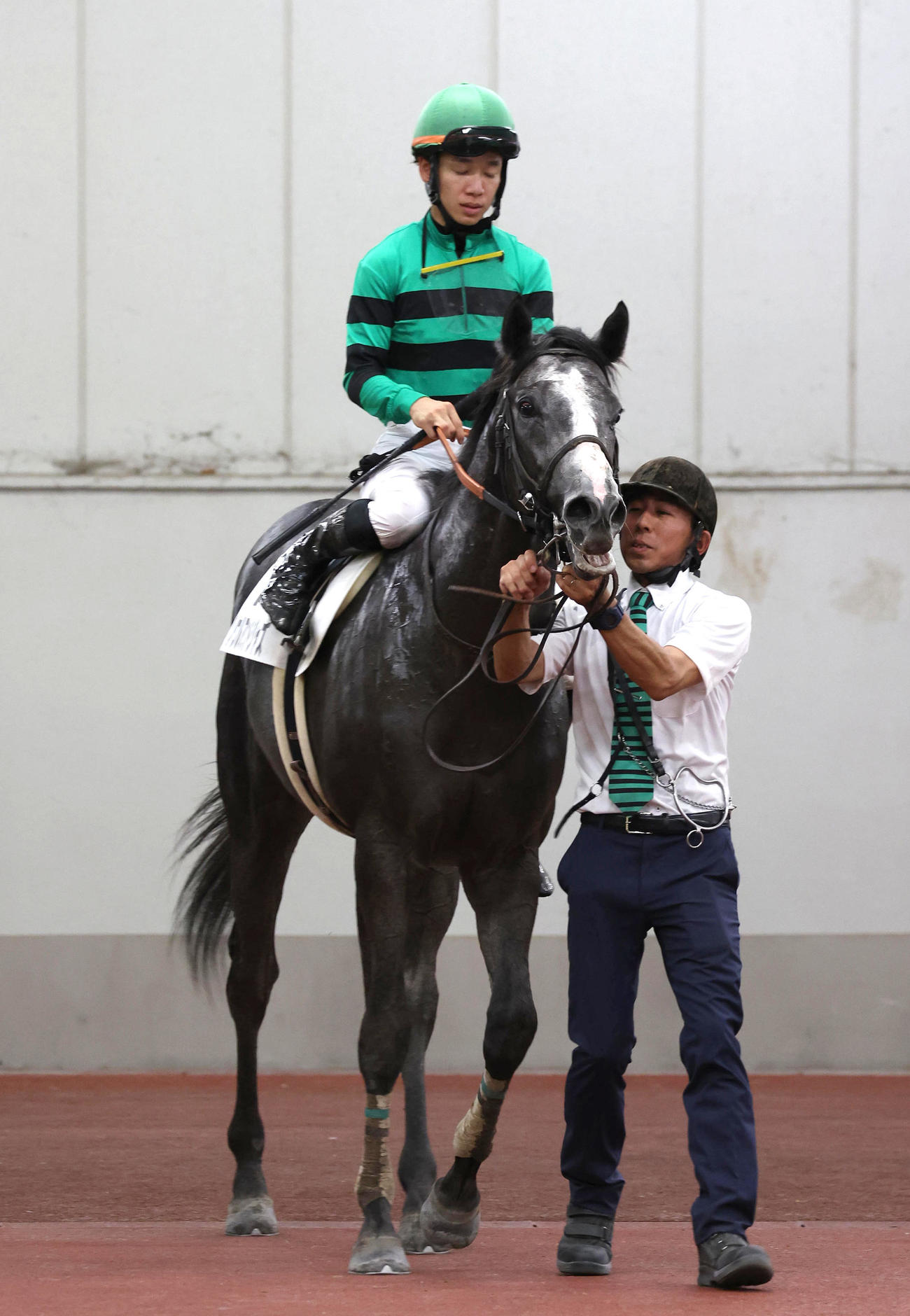 中京5R新馬戦で4着に敗れたソウルアンドジャズ（撮影・白石智彦）
