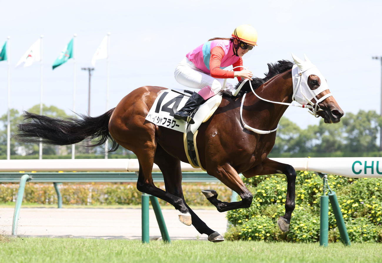中京8R、永島騎手を背に3歳以上1勝クラスを制したペイシャフラワー（撮影・白石智彦）