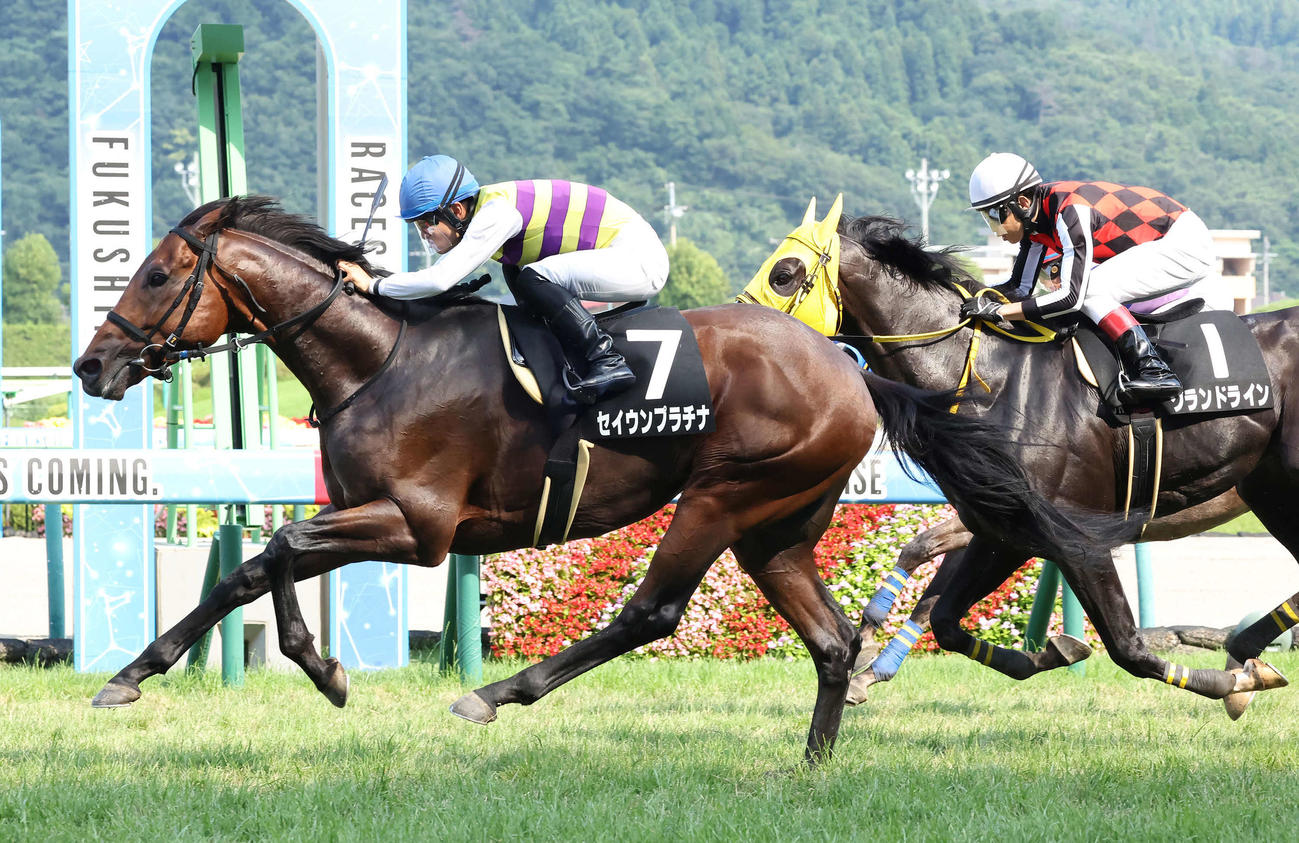 福島10R、白河特別を制したセイウンプラチナと原騎手（撮影・丹羽敏通）