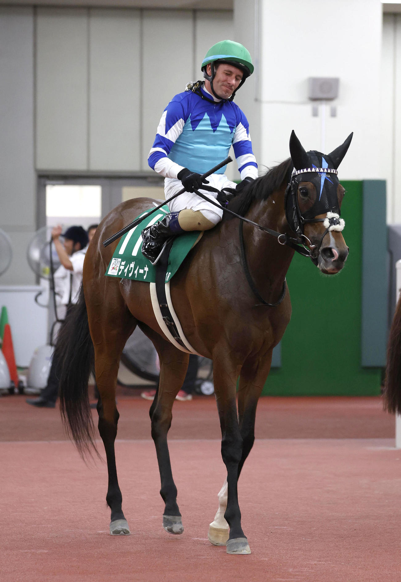 中京記念2着に敗れたディヴィーナ（撮影・白石智彦）