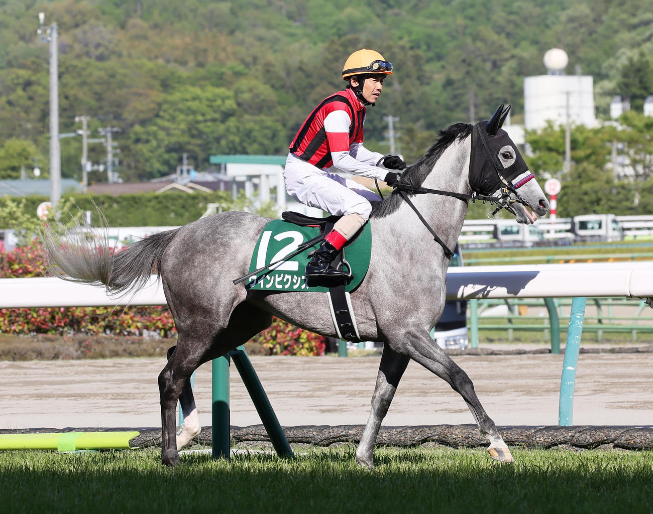 ウインピクシス（2023年4月22日撮影）
