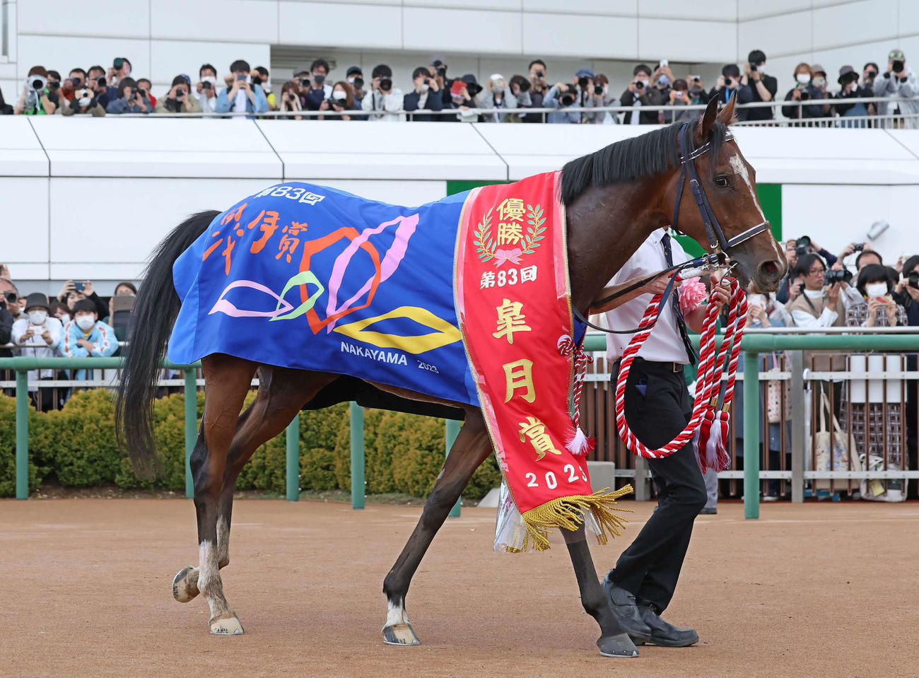 皐月賞を制したソールオリエンス（2023年4月16日撮影）