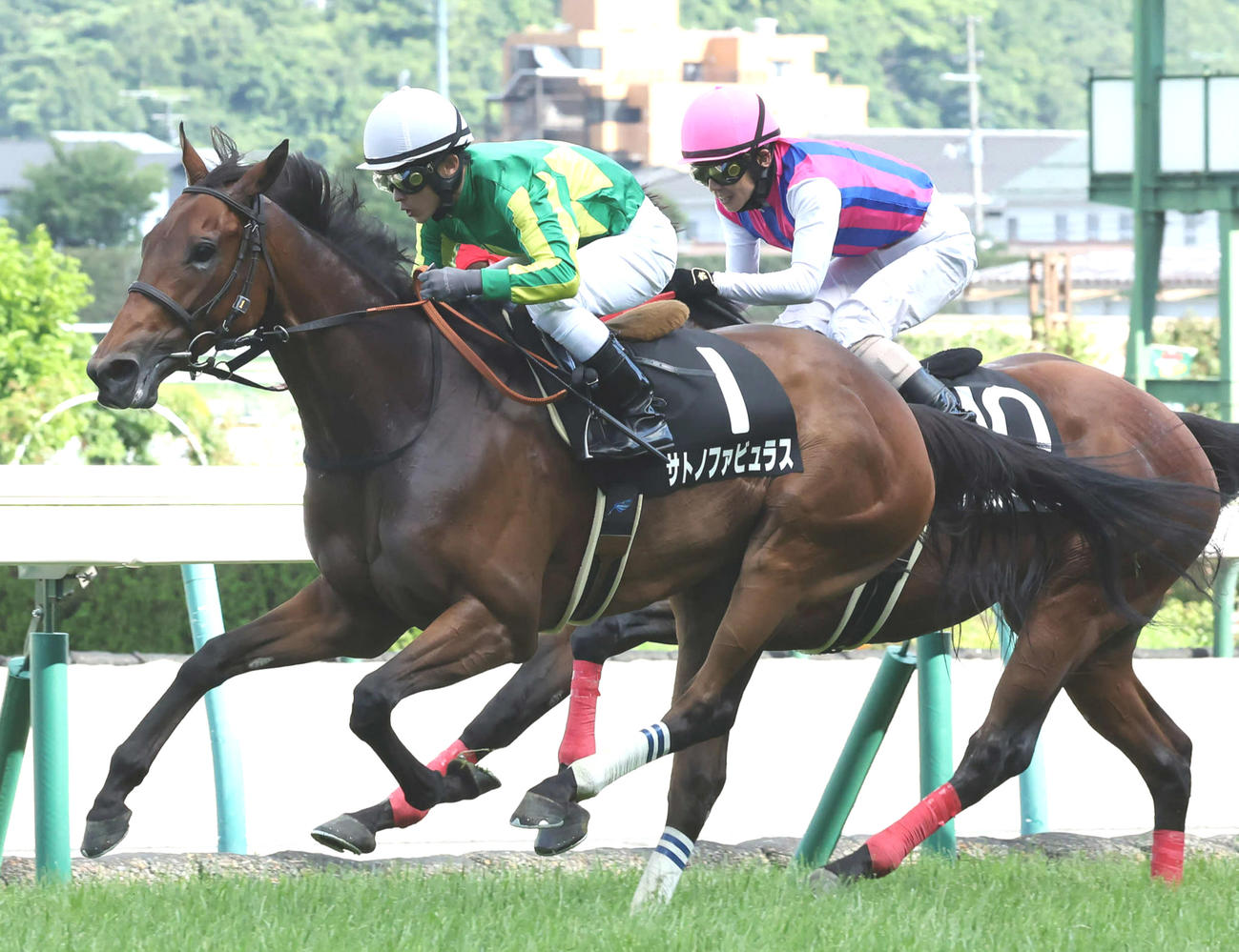 サトノファビュラス（手前）（2022年7月2日撮影）
