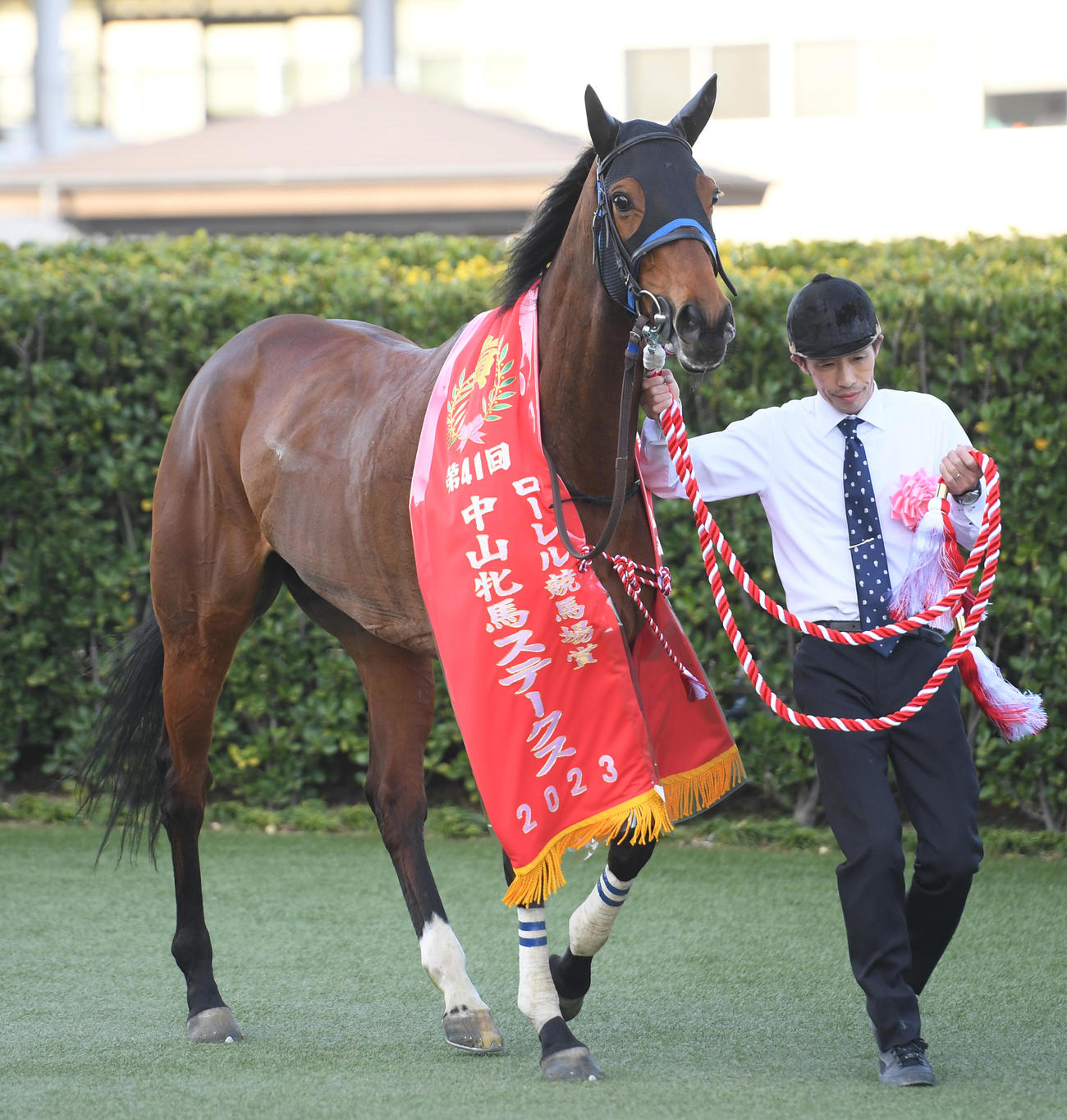 中山牝馬ステークスを制したスルーセブンシーズ（2023年3月11日撮影）