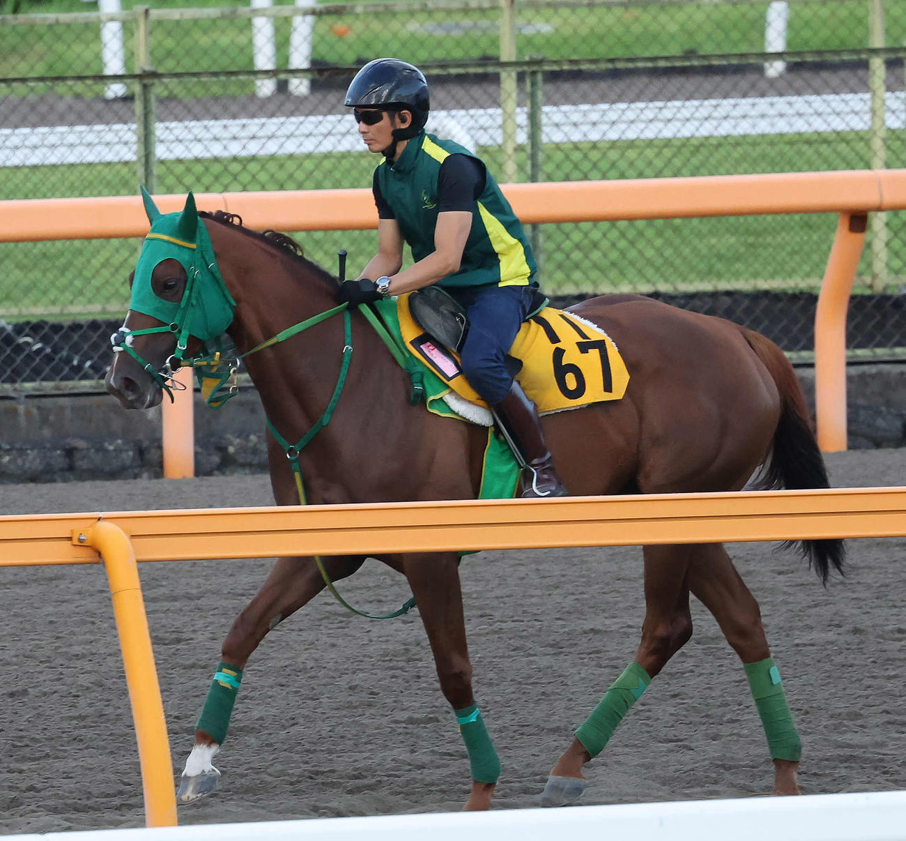 ダートコースで運動するトキメキ（23年7月20日撮影）