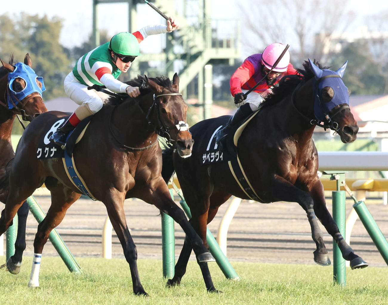 早春S2着に敗れたサペラヴィ（右）。左は勝ったククナ
