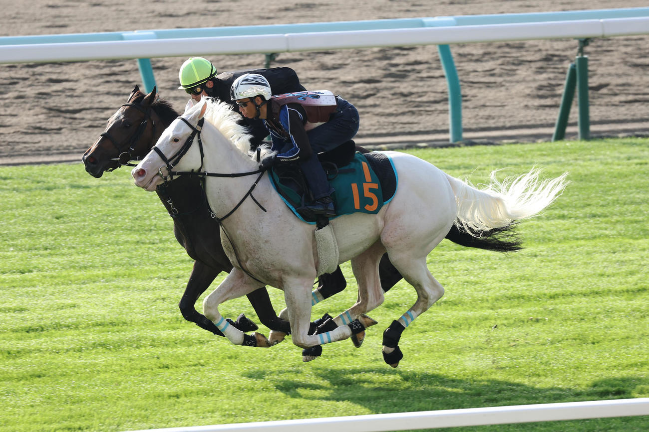 北村宏騎手を背に札幌芝コースで、併せ馬で追い切られるブランシール