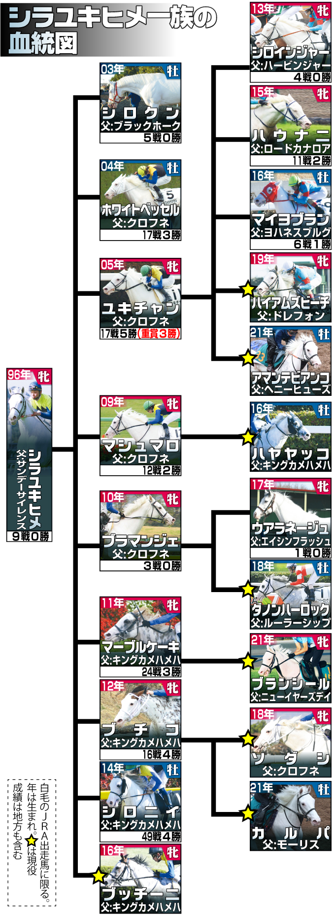 【イラスト】シラユキヒメ一族の血統図