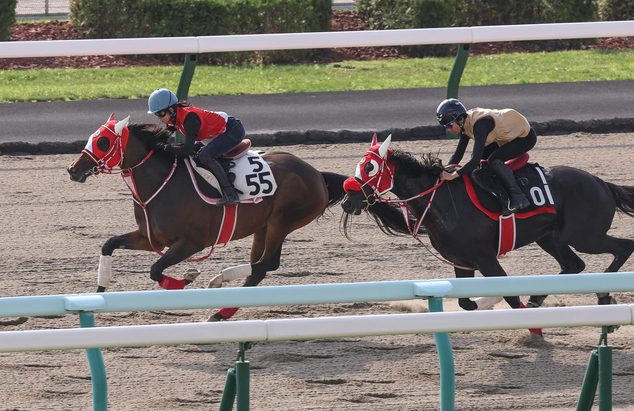 古川奈穂騎手を背に、札幌ダートコースで併せ馬で追い切られるグランスラムアスク（左）