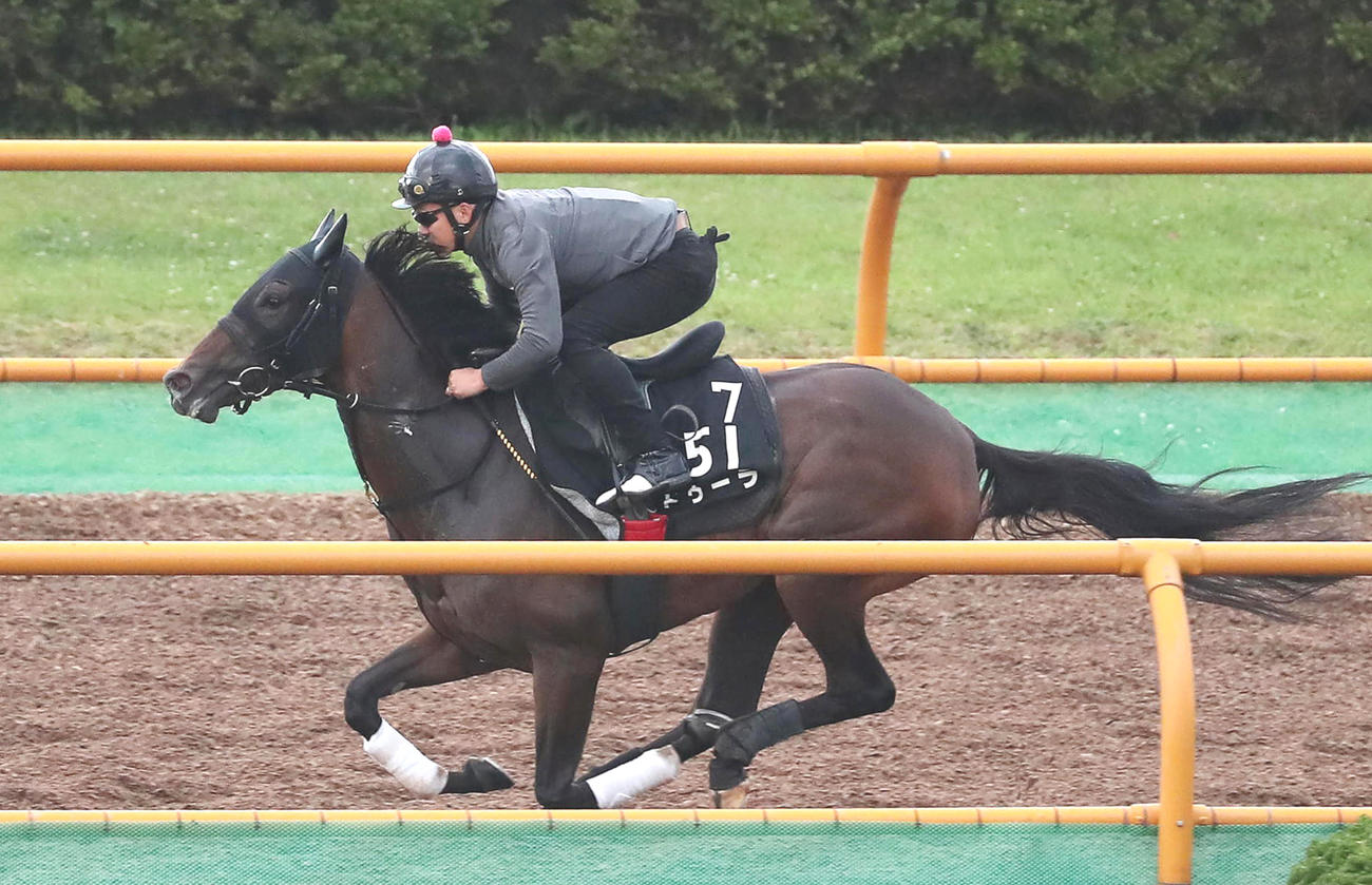 函館ウッドチップコースで追い切られるドゥーラ