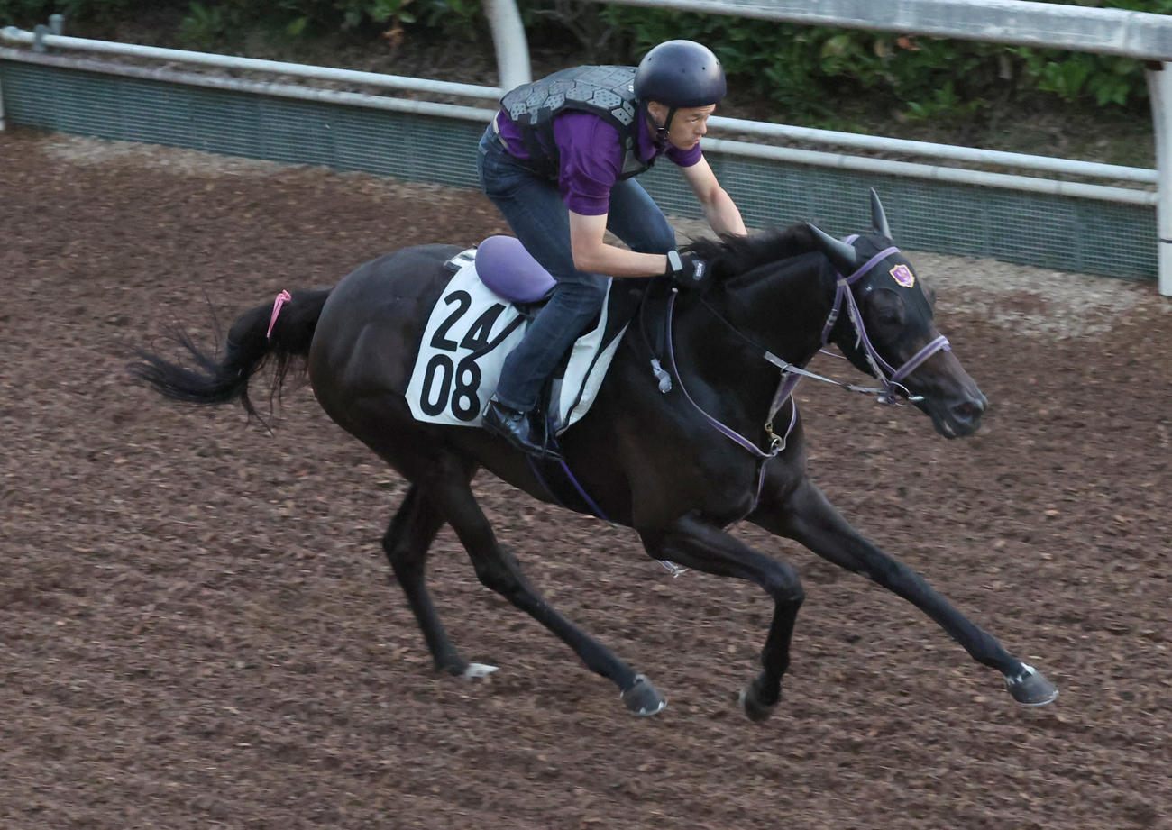坂路で追い切るレジェーロ