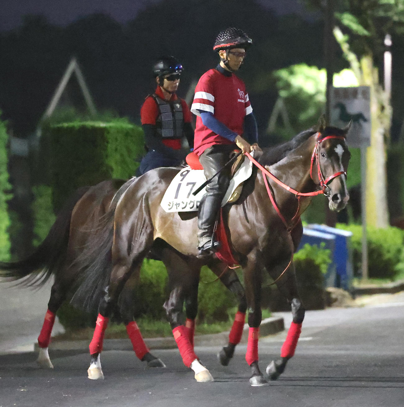 追い切りへ向かうジャングロ