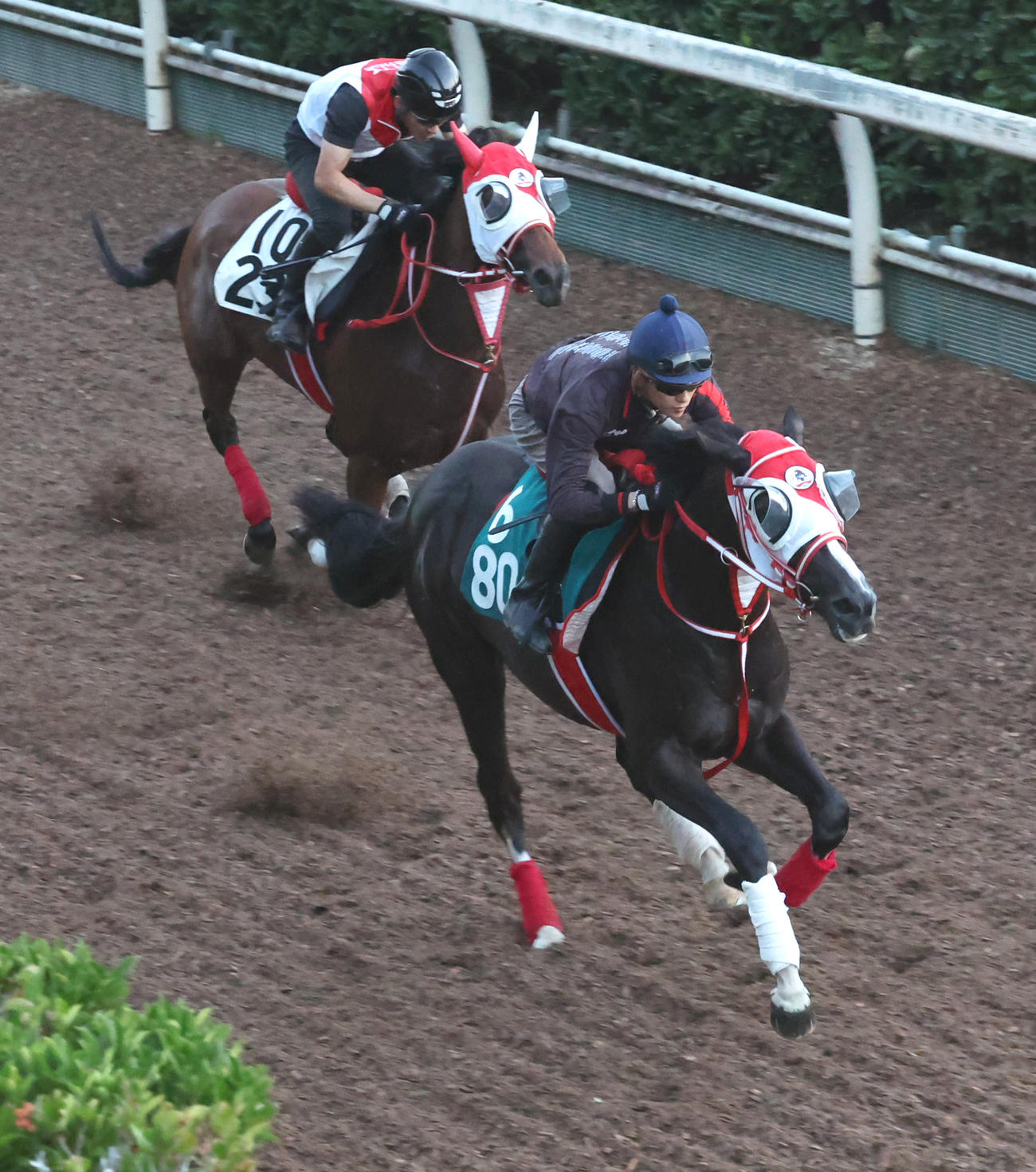 坂路にて併せ馬で追い切るホウオウプロサンゲ（手前）