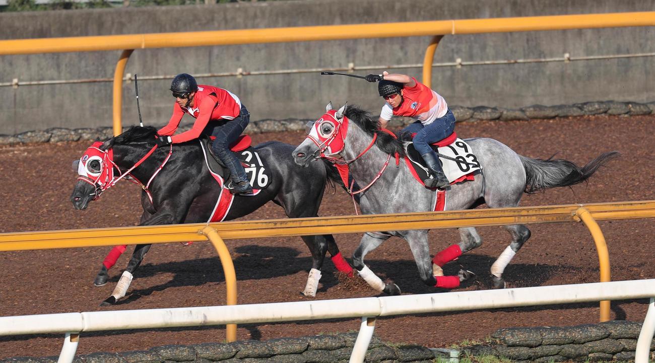 ミスティックロア（左）はホウオウフウジンと追いきる