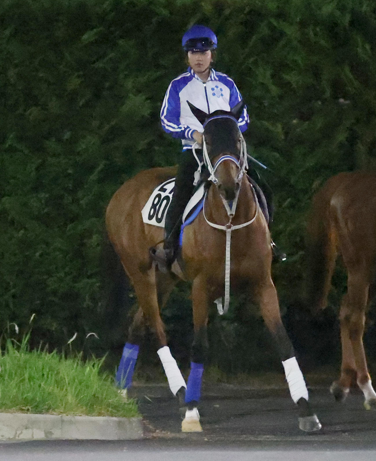 今村騎手を背に追い切りへ向かうメディーヴァル（2023年7月26日撮影）