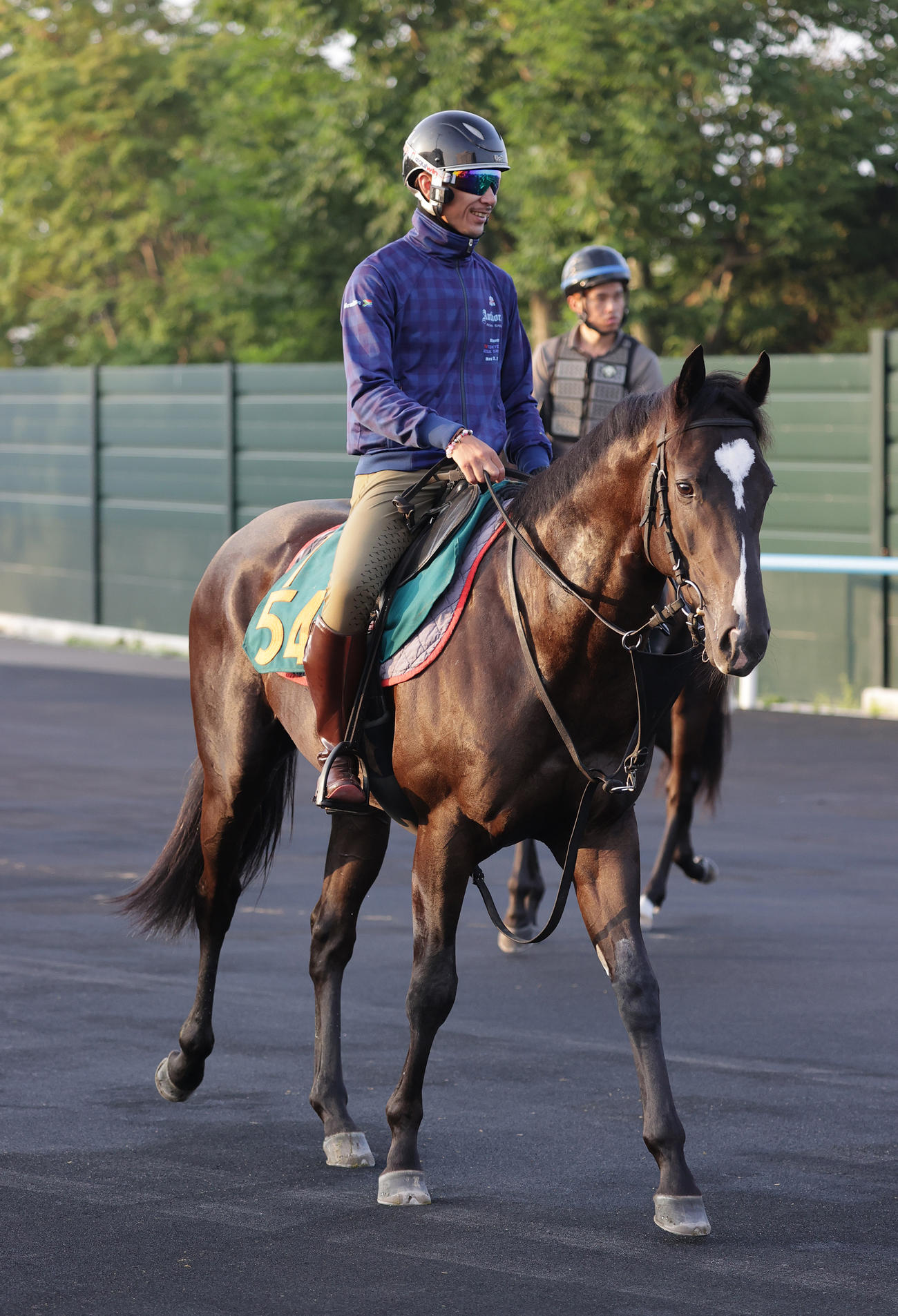 27日、ソニックラインは、函館競馬場で調整を積む
