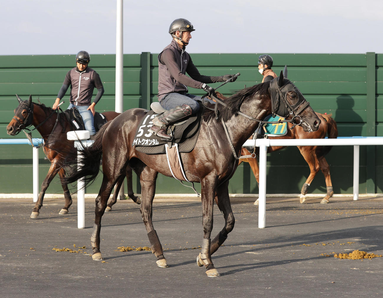クイーンSに向け、函館競馬場で調整するライトクオンタム
