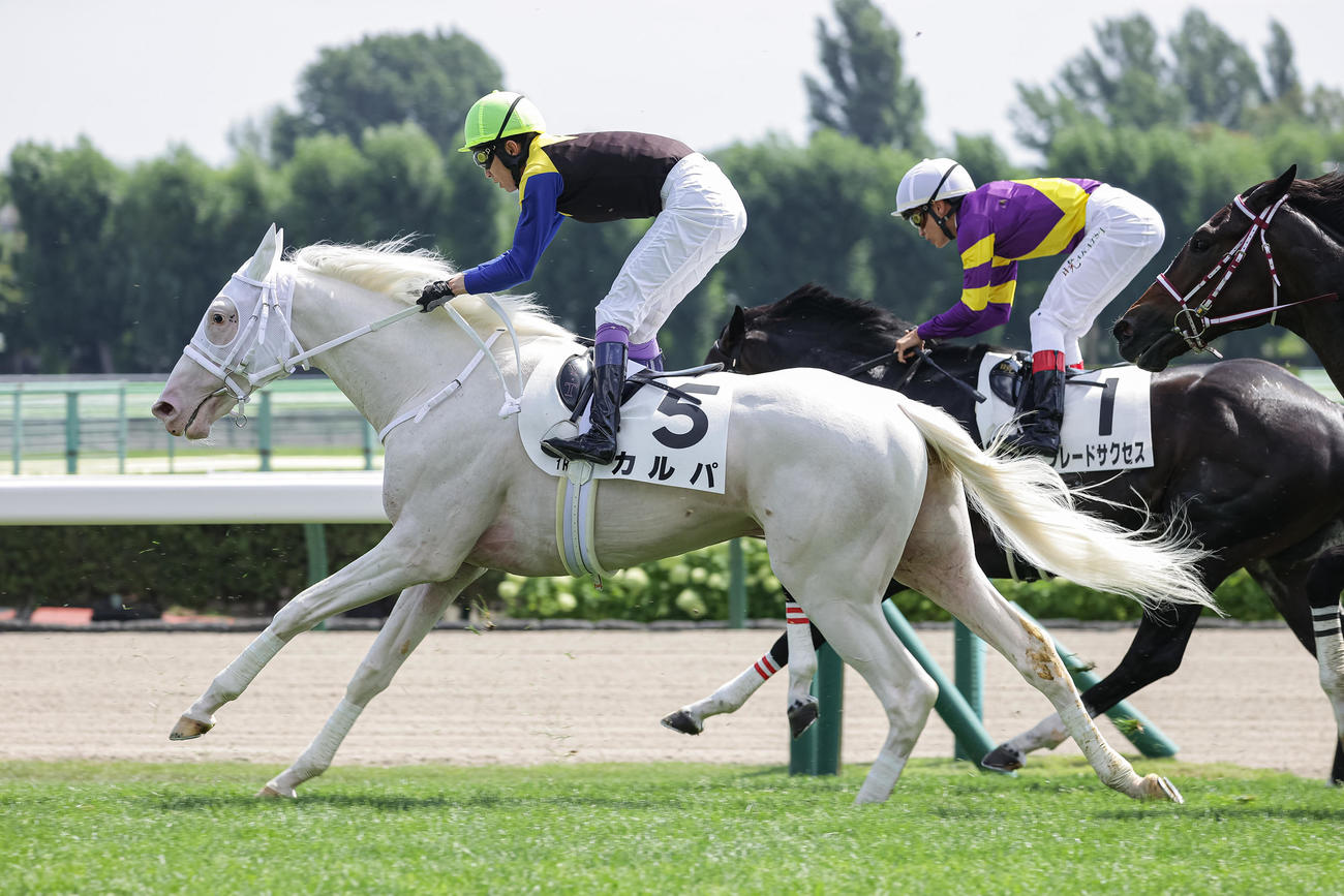 札幌1R、2歳未勝利で4着に敗れたカルパと武豊騎手（撮影・村野早祐）
