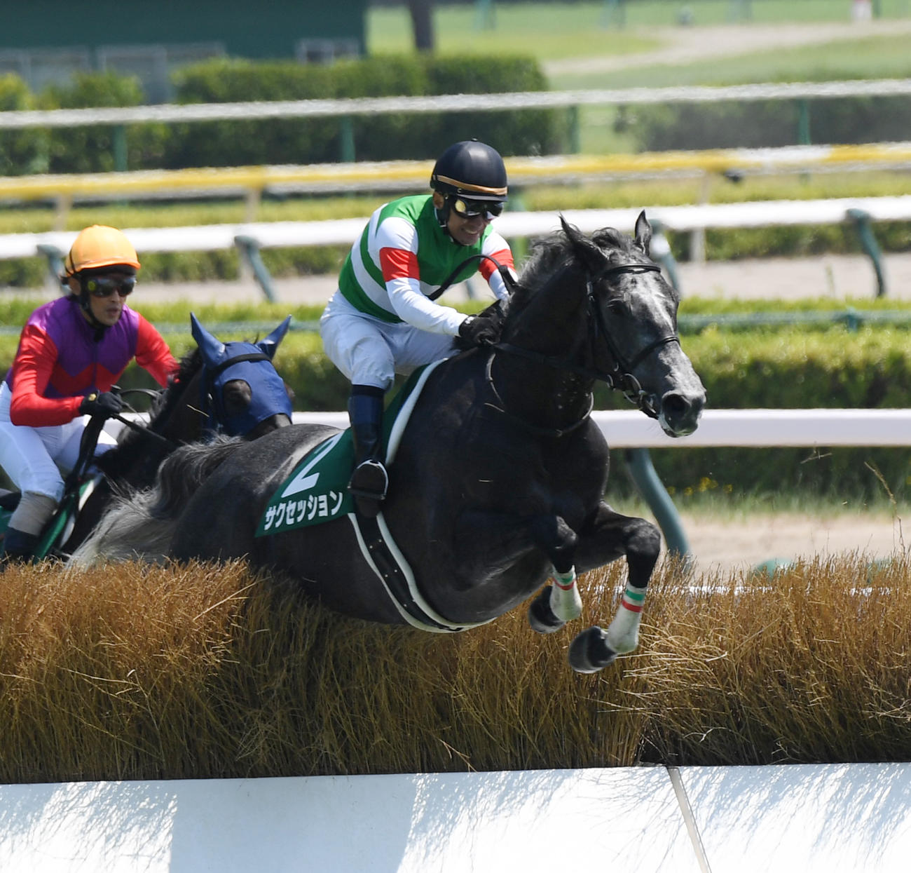 新潟ジャンプSを制したサクセッションと蓑島騎手（撮影・柴田隆二）
