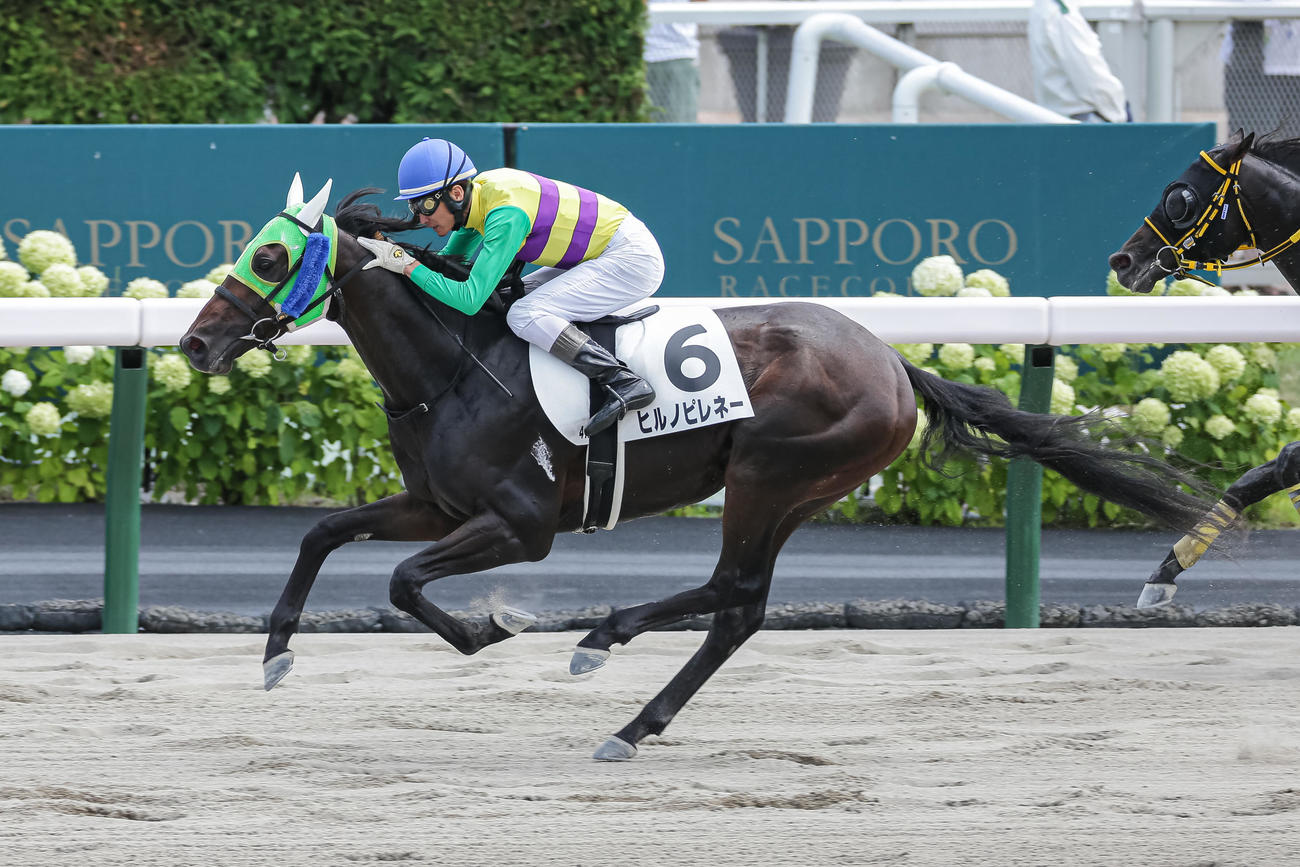 札幌4R、3歳未勝利を勝ち上がったヒルノピレネーと松田騎手（撮影・村野早祐）