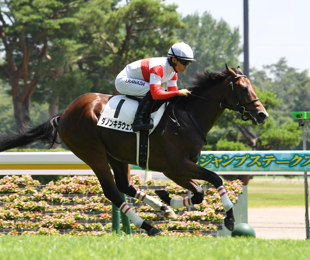 新馬戦を制したダノンキラウェアと川田騎手（撮影・柴田隆二）