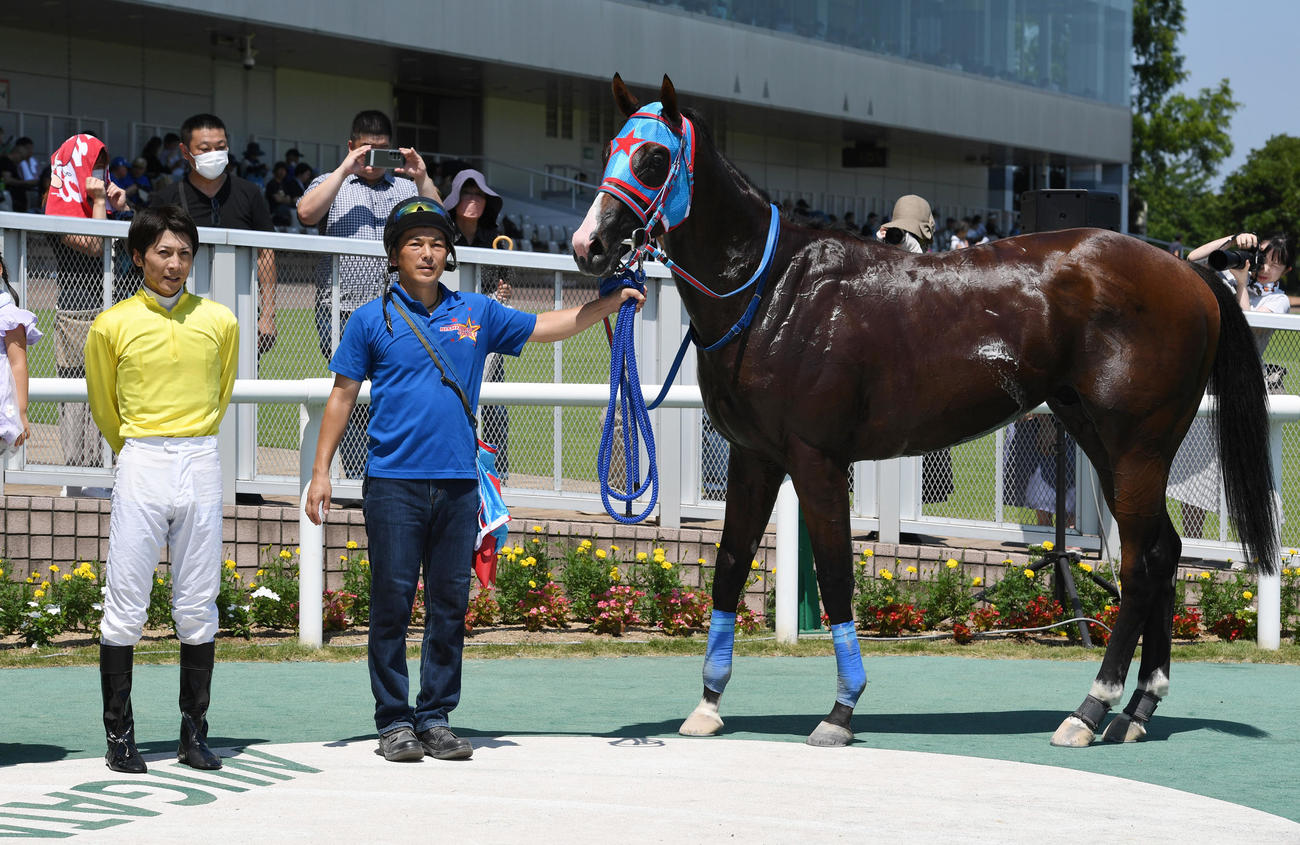 新潟6R、新馬戦を制したウエスタンシーズンと石橋騎手（左）（撮影・柴田隆二）
