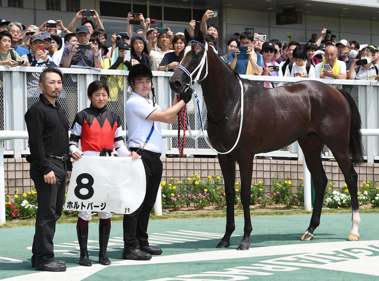 新潟2Rで1着のホルトバージと今村騎手（中央）（撮影・柴田隆二）