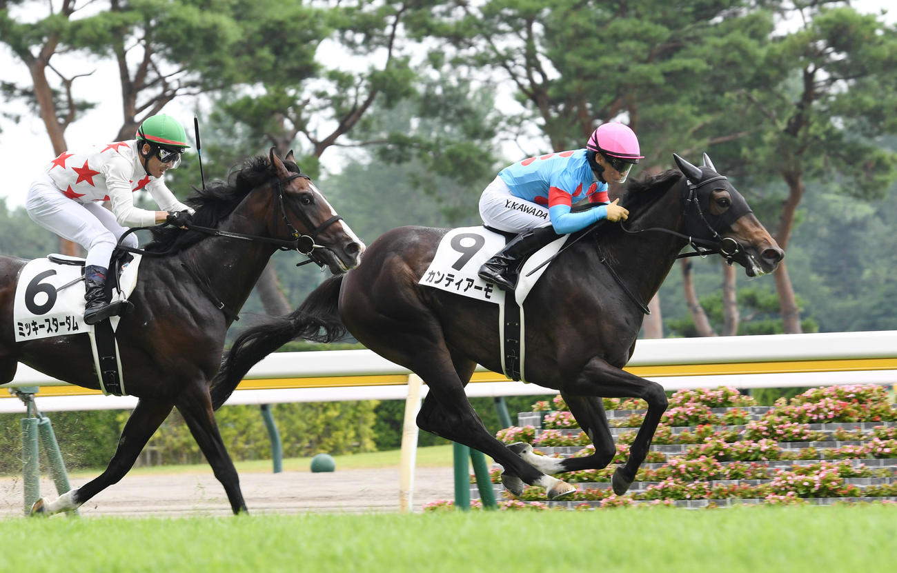 新潟5R2歳新馬、新馬戦を制したカンティアーモ（右）、2着ミッキースターダム（撮影・柴田隆二）