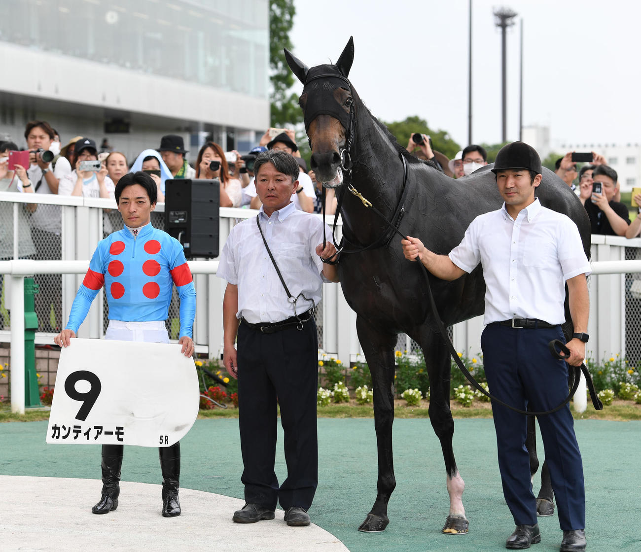 新潟5R2歳新馬、新馬戦を制したカンティアーモと川田騎手（左）（撮影・柴田隆二）
