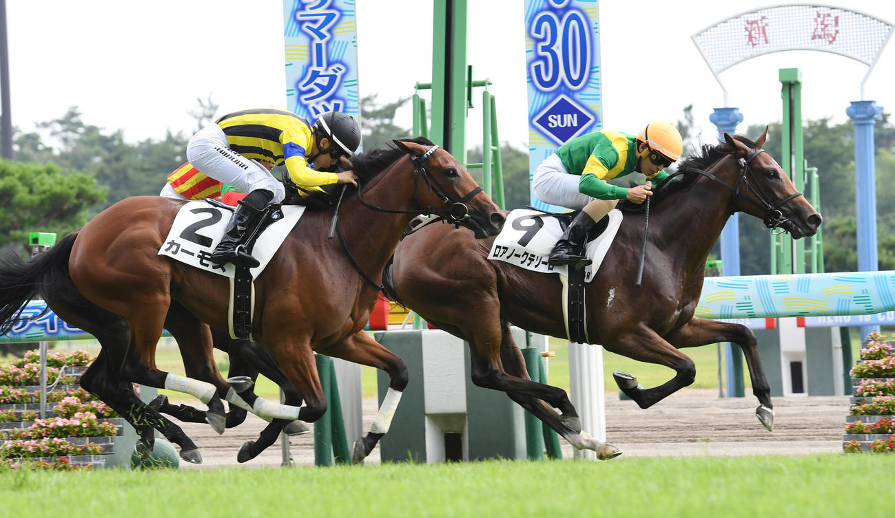 新潟6R、新馬戦を制したロアノークテソーロ（右）、2着カーモス（撮影・柴田隆二）