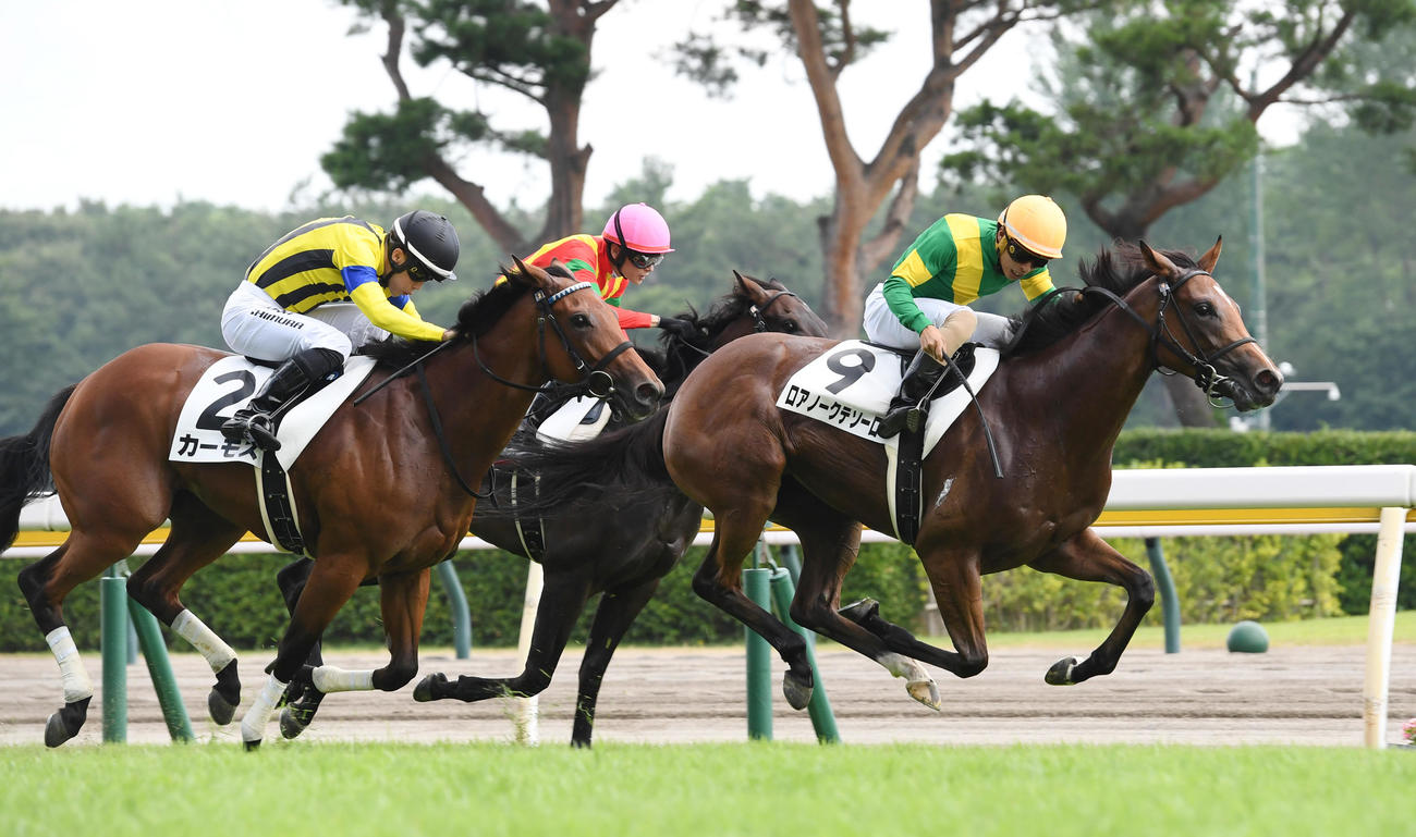 新潟6R、新馬戦を制したロアノークテソーロ（右）、2着カーモス（撮影・柴田隆二）