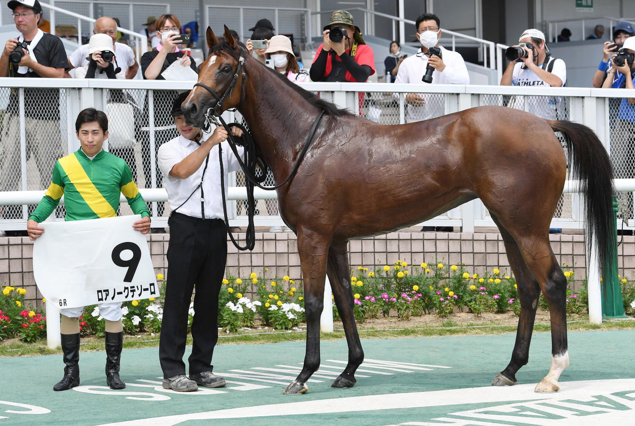 新潟6R、新馬戦を制したロアノークテソーロと木幡巧騎手（左）（撮影・柴田隆二）