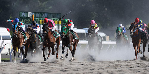 フルデプスリーダー(中央)がエルムSを制した(撮影・村野早祐)=2022年8月7日、札幌競馬場