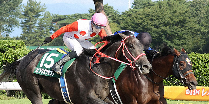 レパードSを制したカフジオクタゴン（左）とC.ホー騎手（撮影・鈴木正人）＝2022年8月7日、新潟競馬場