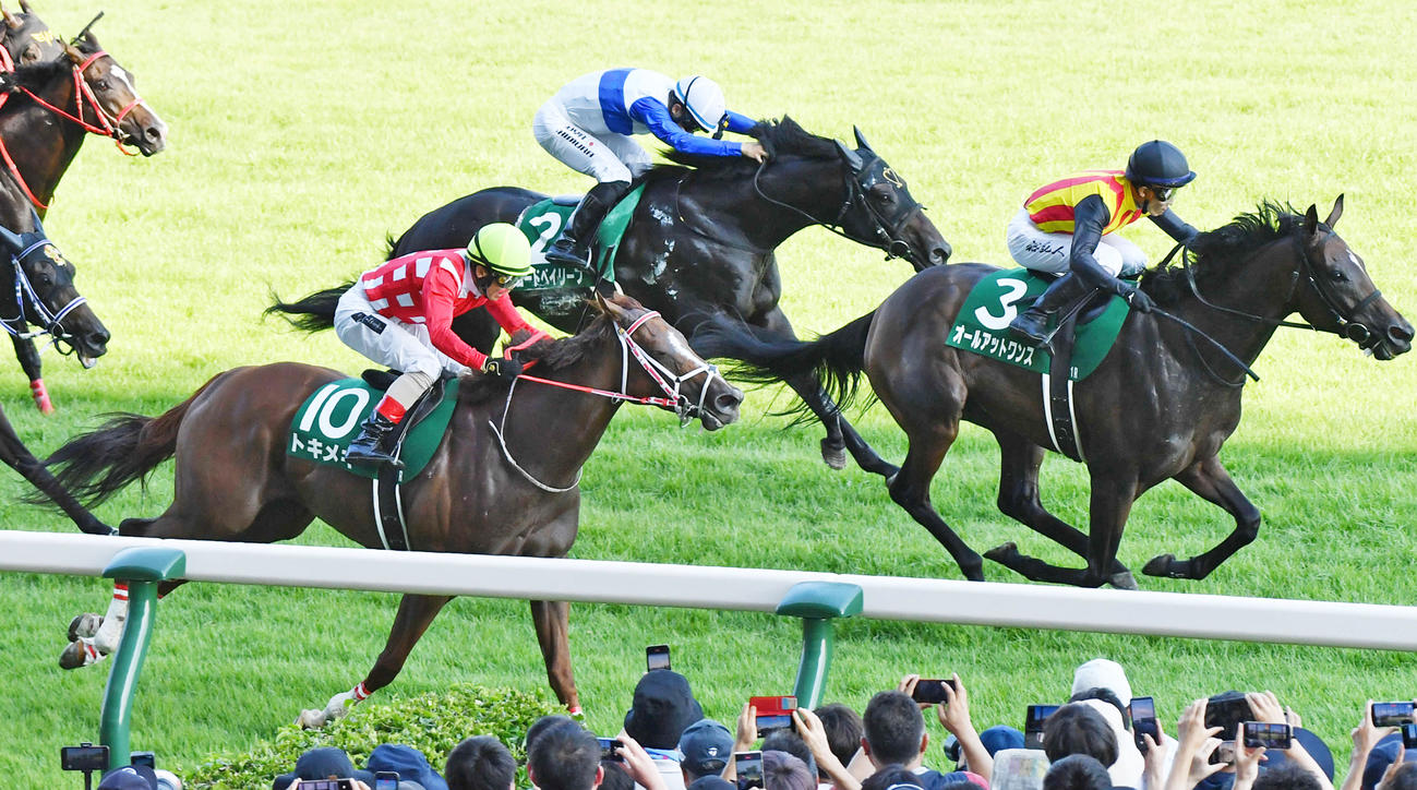 アイビスSD2着に敗れたトキメキ（手前）。右は勝ったオールアットワンス（撮影・柴田隆二）