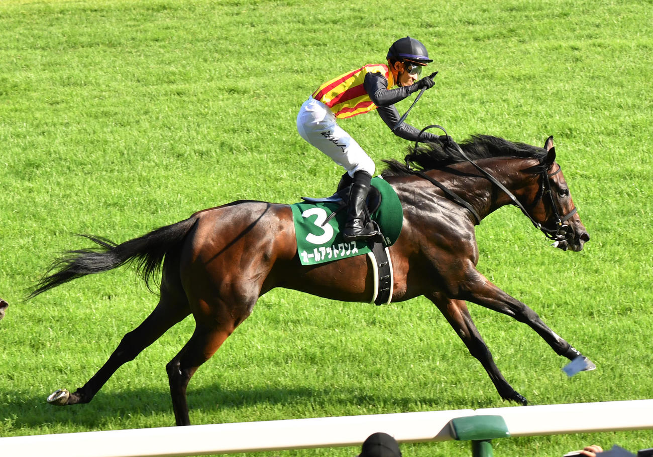 アイビスSDを制したオールアットワンスの石川騎手はガッツポーズする（撮影・柴田隆二）